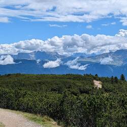 Wanderung auf dem Panoramaweg