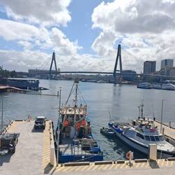 Blackwattle bay from the Fish Market
