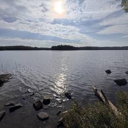 Ein letztes Aufwachen am See