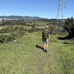 Nice grassy trail