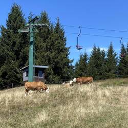 Nostalgie-Sessellift am Ruhestein