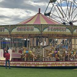 Photo doesn't do justice to this carousel.