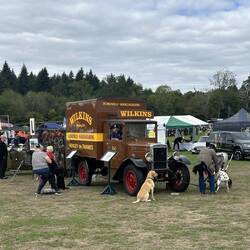Local advertising. Everyone had their dog(s) on display.