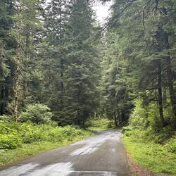 Old Highway 101