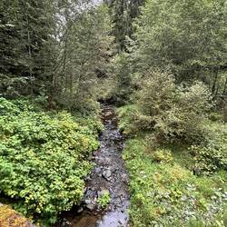 The sream downstream of the bridge