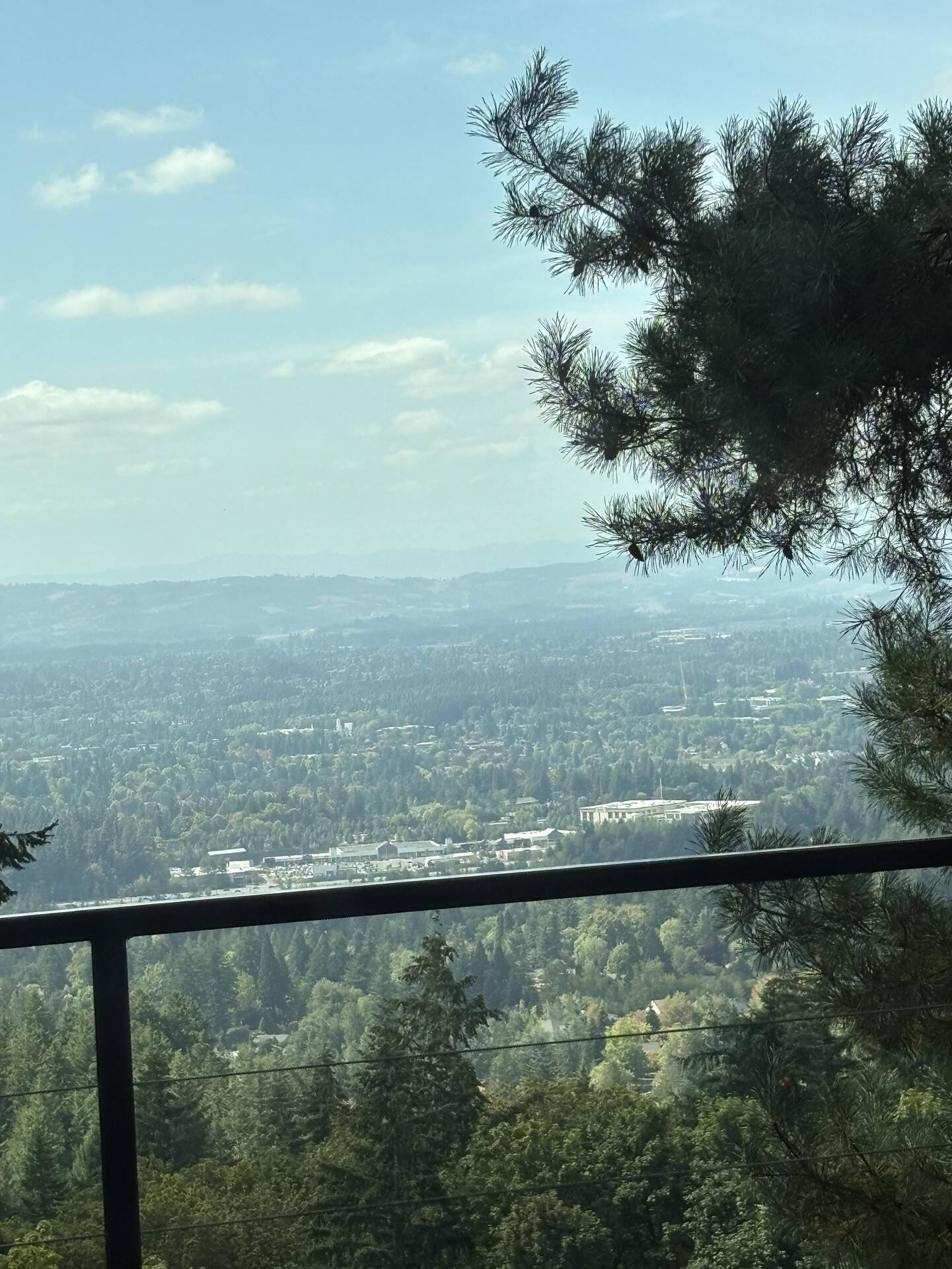 View from Nob Hill