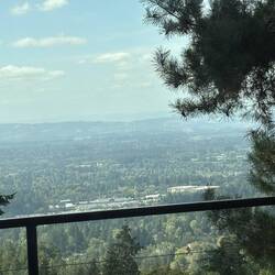 View from Nob Hill