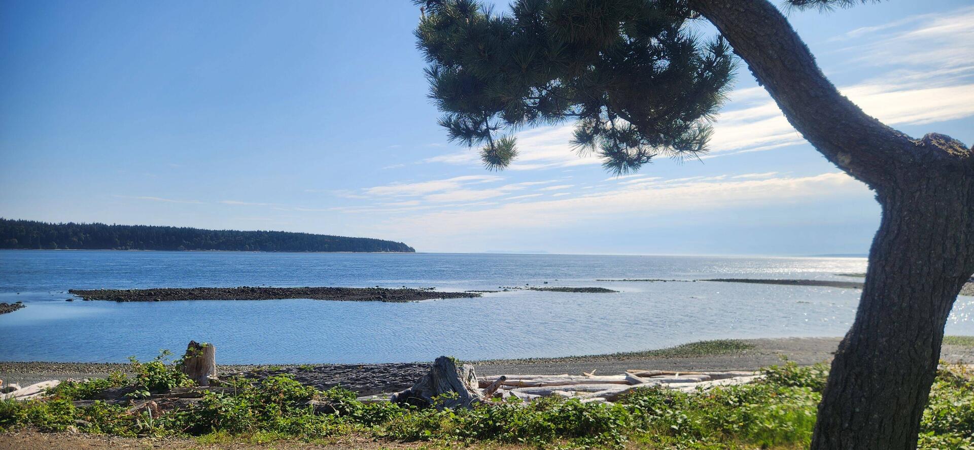 Looking across to Quadra Island