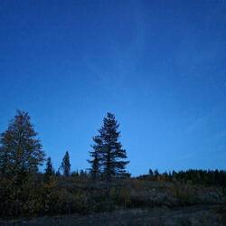 Sieht schön aus, aber leider keine Polarlichter.