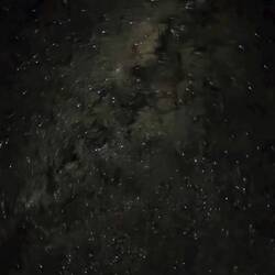 Not sure my phone does a great job of photographing the night sky