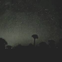 It's an image from a horror movie!