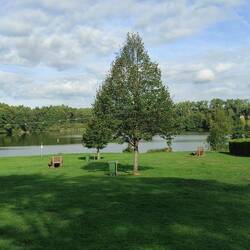 Tschüss Weiher