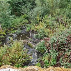 Anfang der Holzbachschlucht