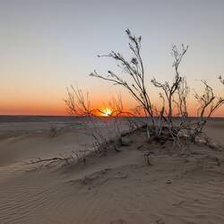 Sunset in the desert