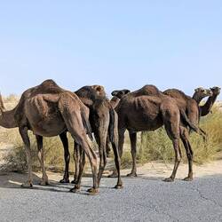And there are other road users to be considered