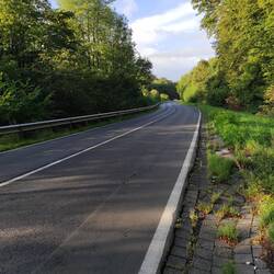Der Anfang besteht aus Asphalt und irren Autofahrern