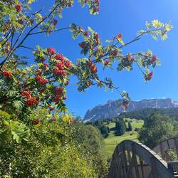 Die letzten schroffen Berge.