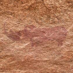 Rhino - zeigt, wo Wasser ist