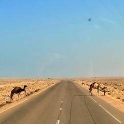Unterwegs in der Westsahara - die Strecke nun zum 4. mal😇🤣