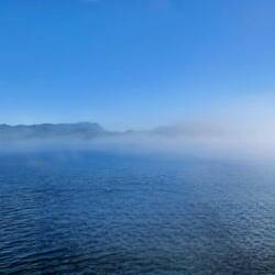 Fog farewell from Bear Cove