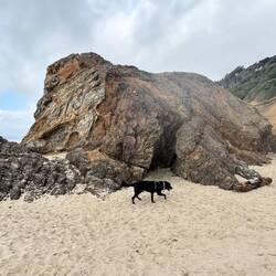 Indy checking out the rock
