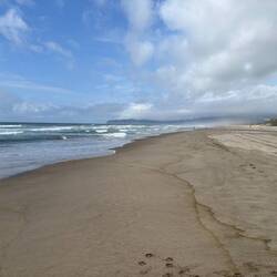 Looking north up the coast