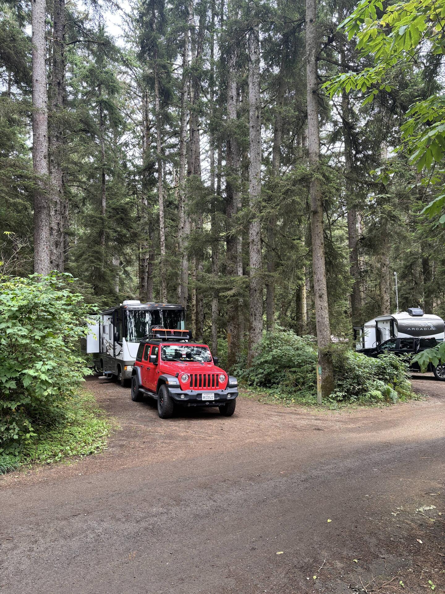 Campsite A23