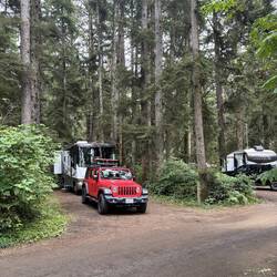 Campsite A23