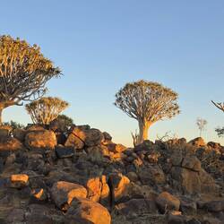 There was lovely golden light for longer than I expected