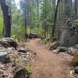 Valley Floor Trails