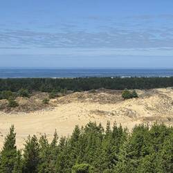 Oregon Dunes