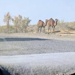 And so are the other road users ...