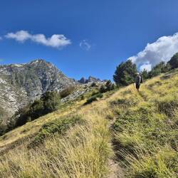Auf einfacheren Wegen wandern wir weiter