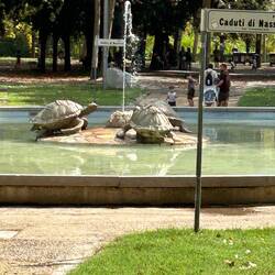 Park Montagnola