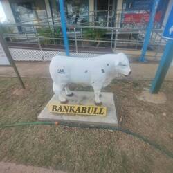 Bank