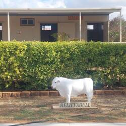 Public Toilets