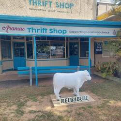 Thrift Shop