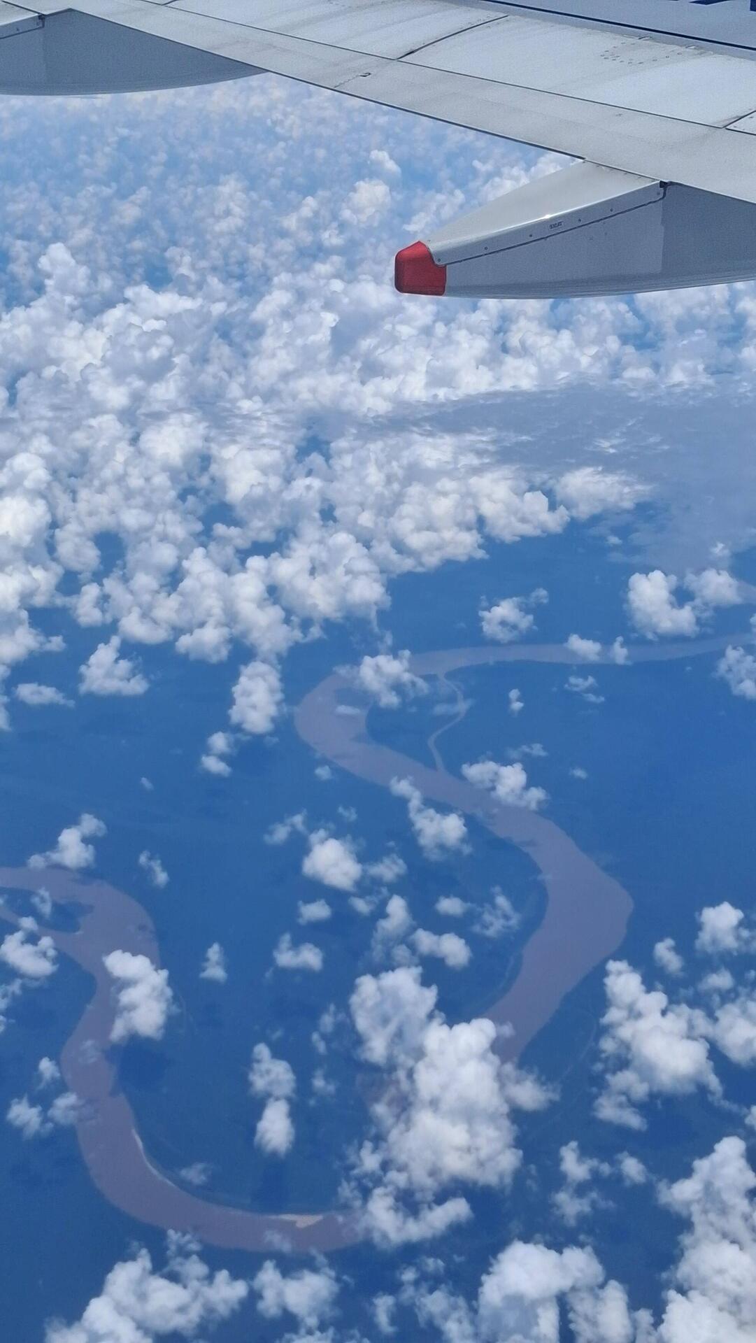 Ob die Fluss- Schleife unten der Amazonas ist?
