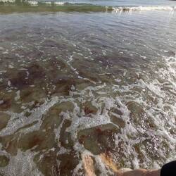 Dipping our toes