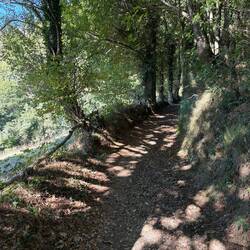 Beautiful shaded way path