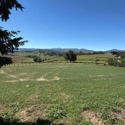 Farms are bigger and more diverse here on the Primitivo