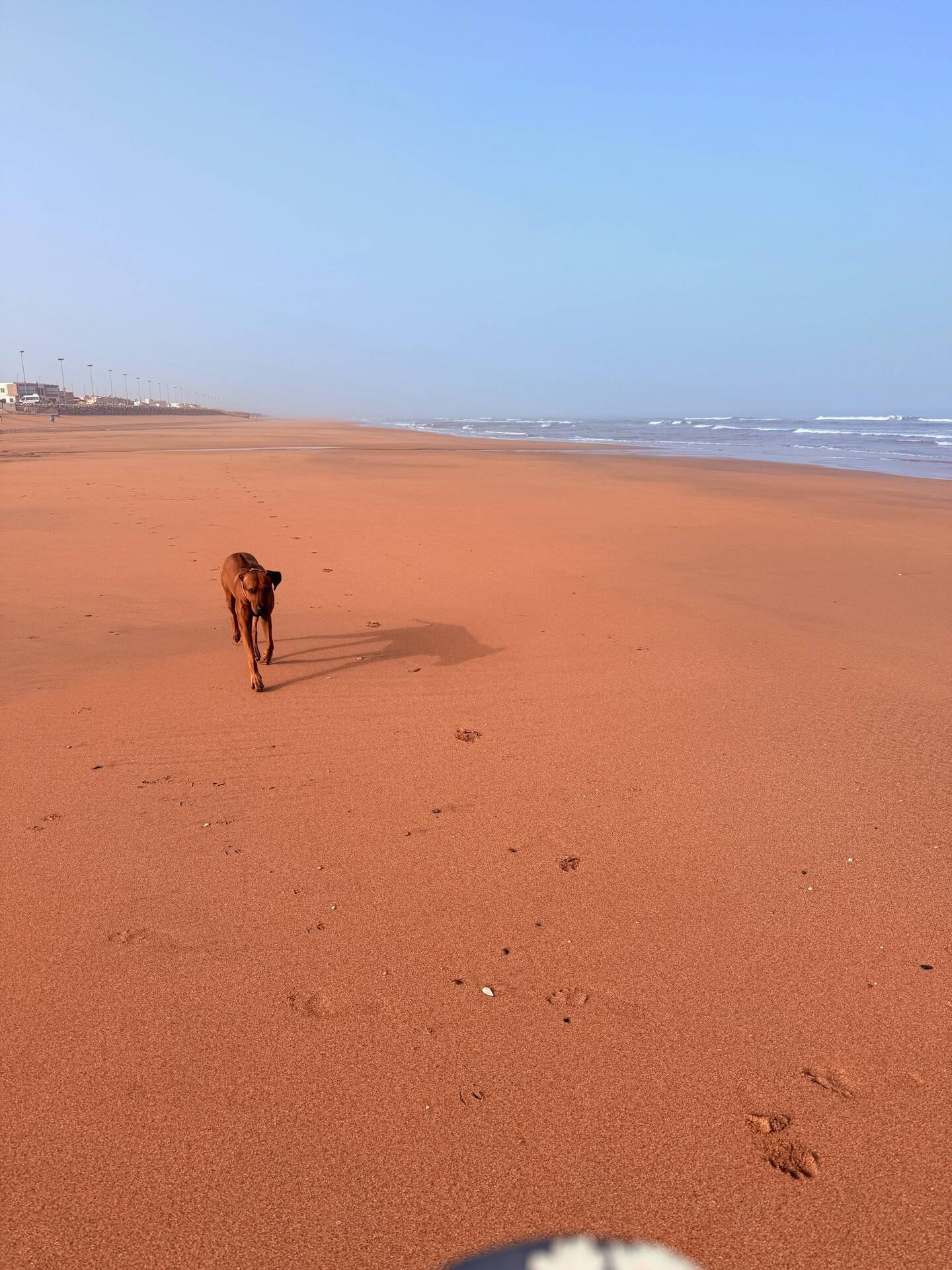 Ein endloser Strand vor Laayoune 😎