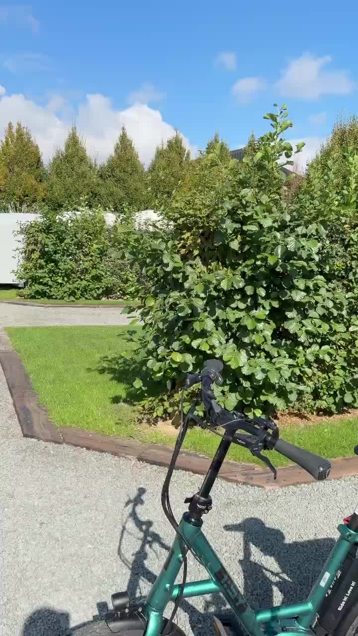 Unser Stellplatz in Belgien 🇧🇪