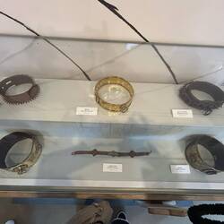 Dog collar display at Leeds Castle