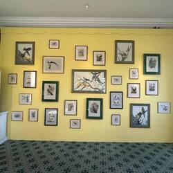 Bird studies at Leeds Castle