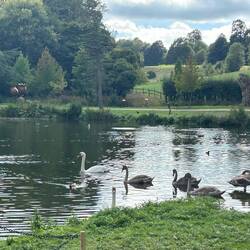Goodbye Leeds Castle
