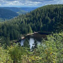 Blick zum Glaswaldsee
