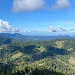 Blick zur Rheinebene