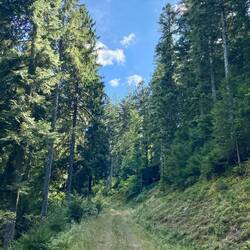 Auf den Weg zum Harkhof