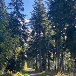 Morgenstimmung an der Alexanderschanze